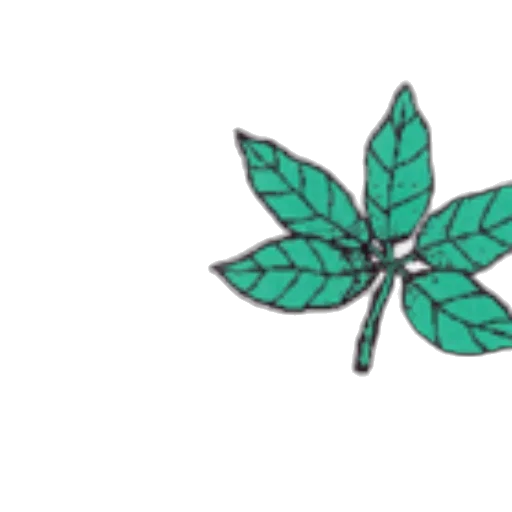 flower, crown, staff, umbrella transparent PNG cut-out