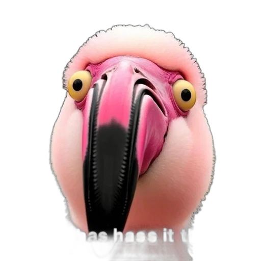 mask, animal, creature, face transparent PNG cut-out