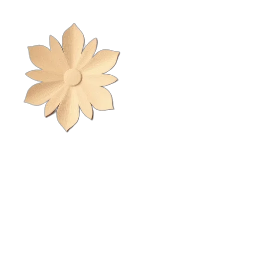 flower, crown, jewelry, hair transparent PNG cut-out