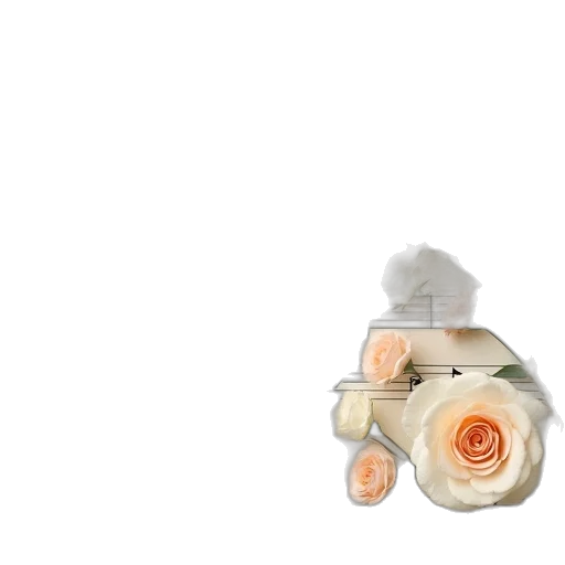 flower, jewelry, crown, bottle transparent PNG cut-out