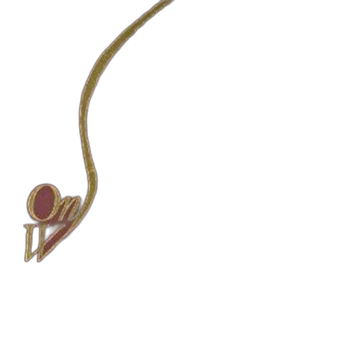 staff, jewelry, hair, weapon transparent PNG cut-out