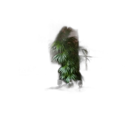 creature, hair, animal, tree transparent PNG cut-out