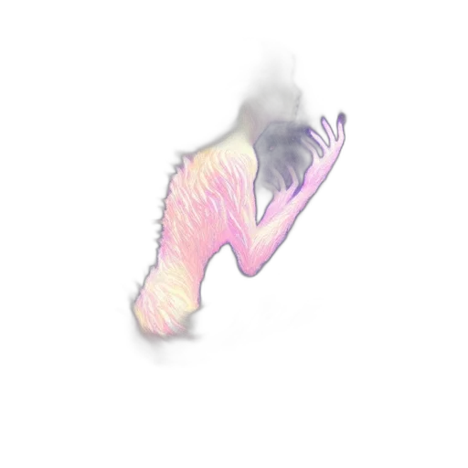 shoes, dragon, creature, hair transparent PNG cut-out