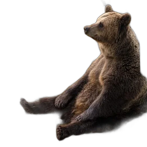 animal, creature, photorealistic, concept art transparent PNG cut-out