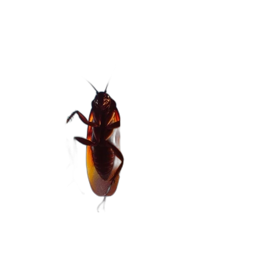 animal, creature, dragon, robot transparent PNG cut-out