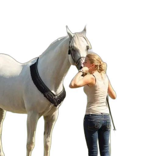 animal, staff, photorealistic, 3d render transparent PNG cut-out