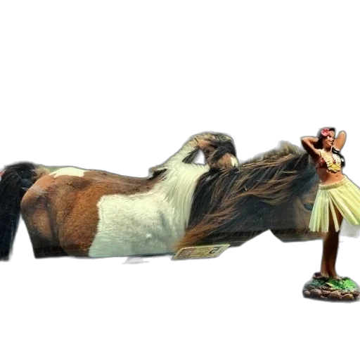 animal, staff, creature, hair transparent PNG cut-out
