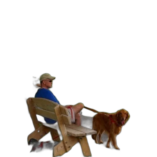 furniture, staff, animal, hat transparent PNG cut-out