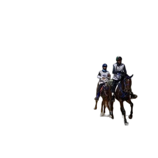 animal, staff, sword, weapon transparent PNG cut-out