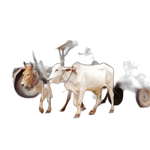 animal, concept art, photorealistic, 3d render transparent PNG cut-out