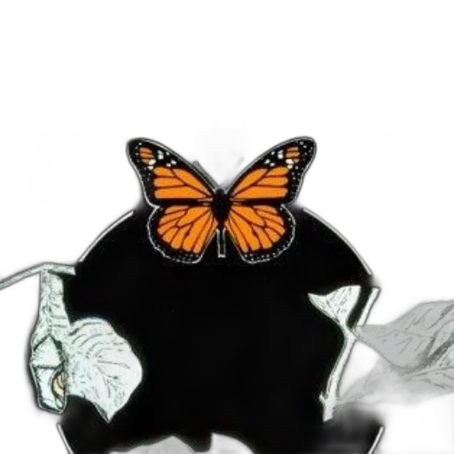 jewelry, crown, animal, mask transparent PNG cut-out
