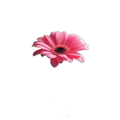 flower, crown, jewelry, staff transparent PNG cut-out