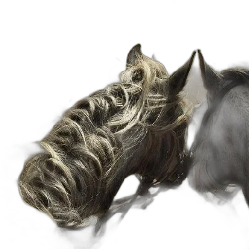 hair, dragon, animal, creature transparent PNG cut-out