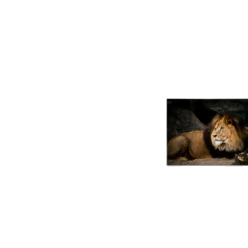 animal, creature, crown, staff transparent PNG cut-out