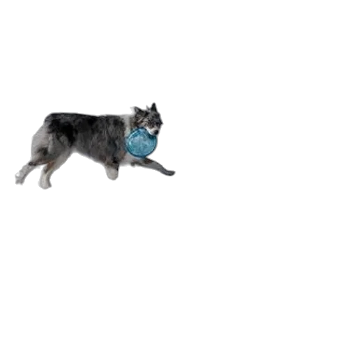 animal, creature, staff, robot transparent PNG cut-out