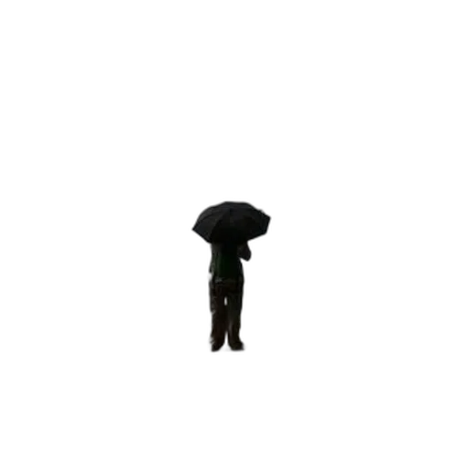 umbrella, hat, jacket, staff transparent PNG cut-out
