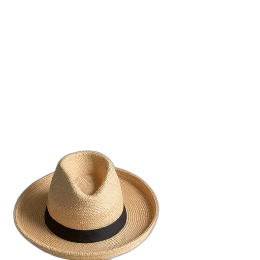 hat, crown, jewelry, jacket transparent PNG cut-out