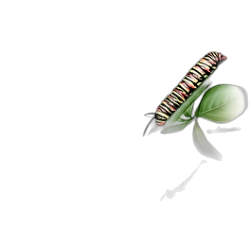 jewelry, weapon, food, furniture transparent PNG cut-out