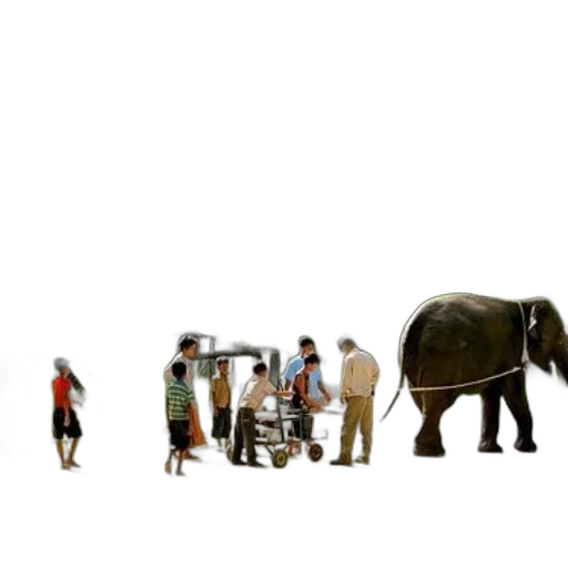 animal, staff, car, umbrella transparent PNG cut-out