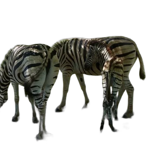 animal, creature, furniture, 3d render transparent PNG cut-out