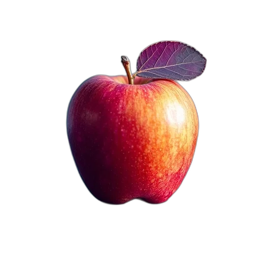 food, crown, animal, weapon transparent PNG cut-out