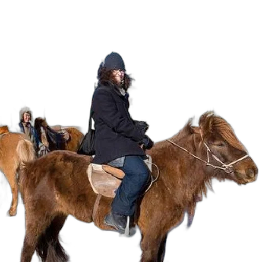 animal, jacket, person, black transparent PNG cut-out