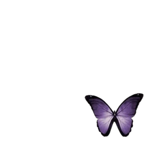 animal, creature, flower, crown transparent PNG cut-out