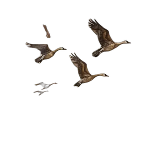 animal, photorealistic, concept art, 3d render transparent PNG cut-out