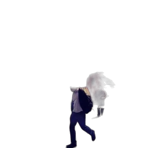 umbrella, jacket, hair, staff transparent PNG cut-out