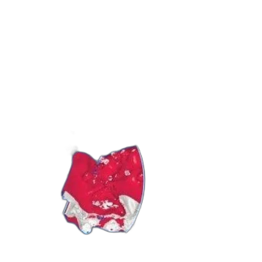 mask, shoes, hat, jacket transparent PNG cut-out