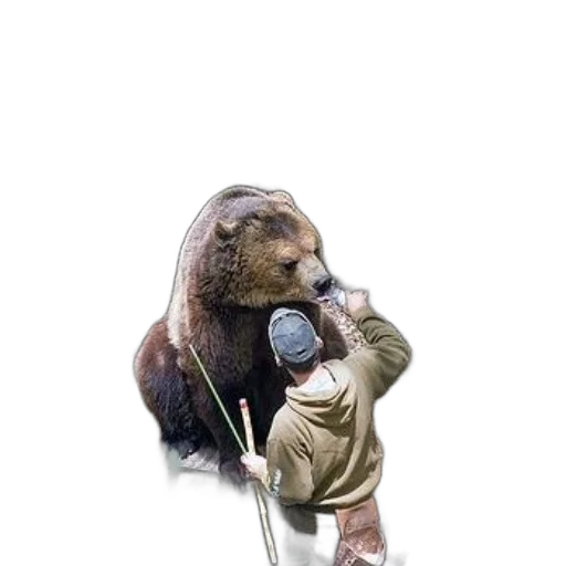 animal, staff, umbrella, creature transparent PNG cut-out