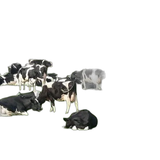 animal, food, 3d render, concept art transparent PNG cut-out