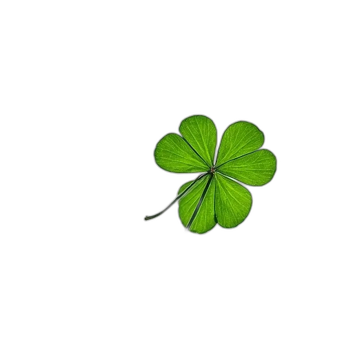 jewelry, crown, flower, weapon transparent PNG cut-out
