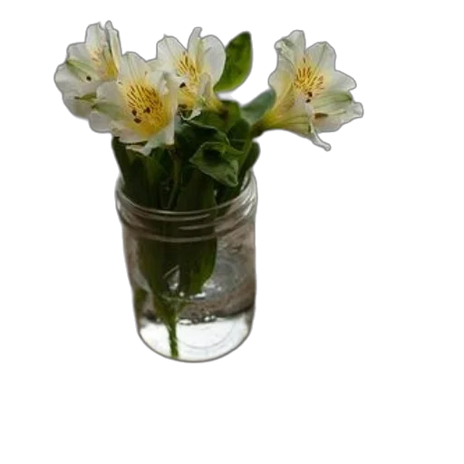 flower, crown, staff, jewelry transparent PNG cut-out