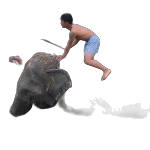 animal, creature, concept art, 3d render transparent PNG cut-out