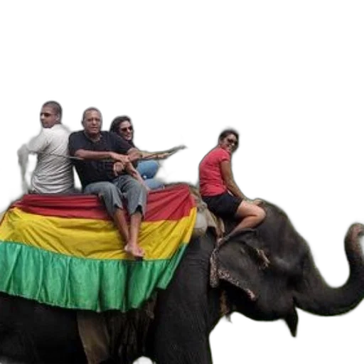 animal, umbrella, group, people transparent PNG cut-out