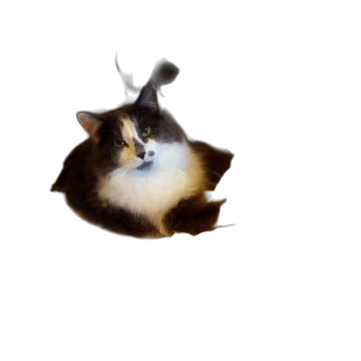 animal, creature, dragon, crown transparent PNG cut-out