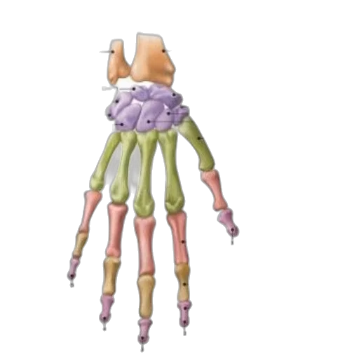 dress, umbrella, crown, jewelry transparent PNG cut-out