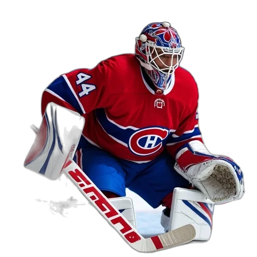 animal, mask, photorealistic, goalie transparent PNG cut-out