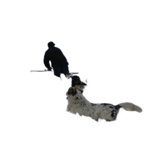 staff, animal, hat, weapon transparent PNG cut-out