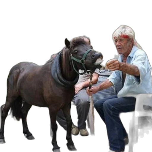 animal, creature, staff, photorealistic transparent PNG cut-out