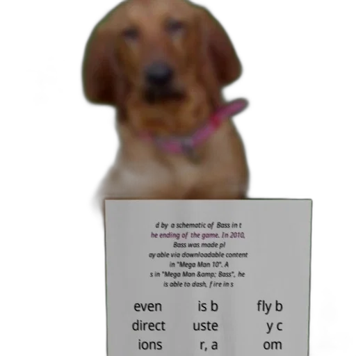 staff, animal, creature, robot transparent PNG cut-out