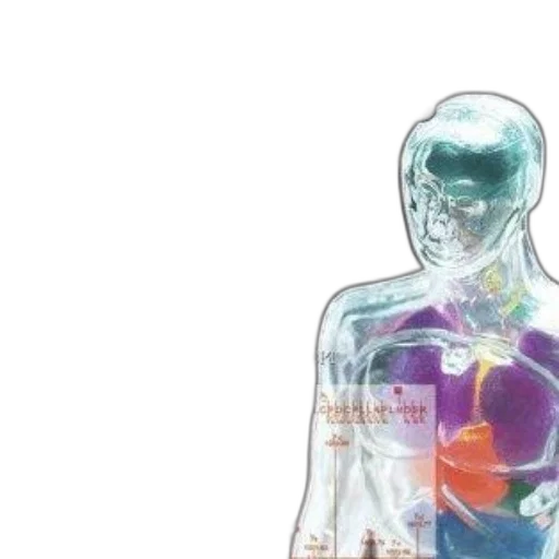 bottle, concept art, cover, principles transparent PNG cut-out