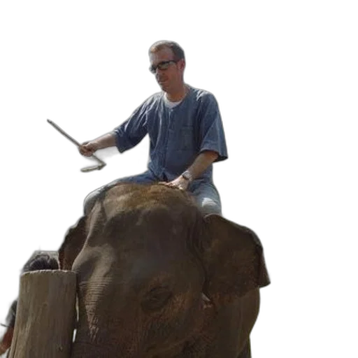 staff, animal, weapon, creature transparent PNG cut-out