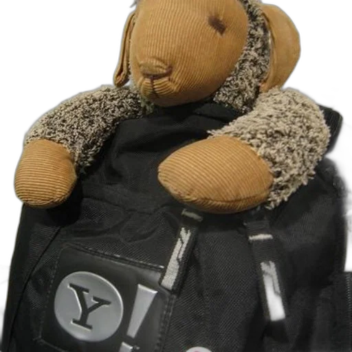 jacket, staff, stuffed, animal transparent PNG cut-out