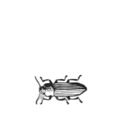 robot, animal, creature, furniture transparent PNG cut-out