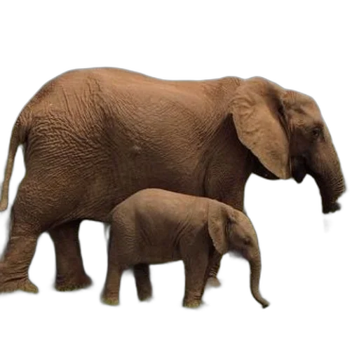 animal, 3d render, photorealistic, concept art transparent PNG cut-out