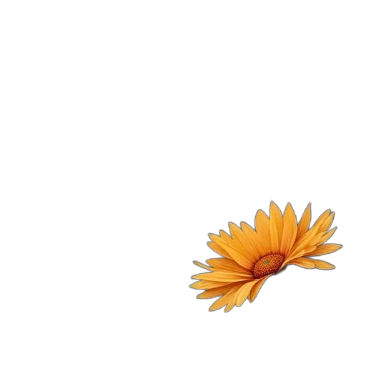 flower, crown, hair, weapon transparent PNG cut-out