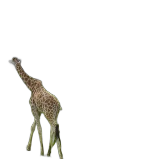 animal, creature, staff, hat transparent PNG cut-out