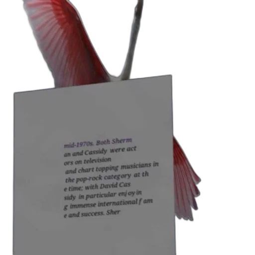 creature, animal, staff, weapon transparent PNG cut-out